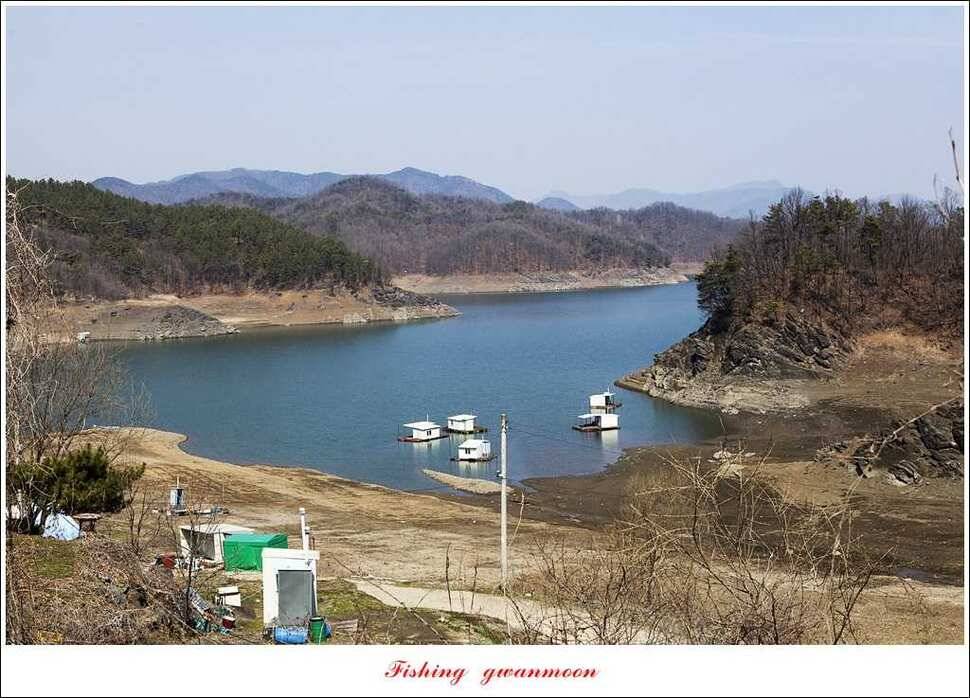 매전지 월척충주호 좌대노지 현황 (조황조행기 - 특파원조황)