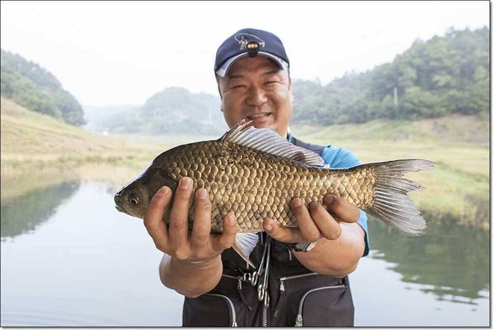 신매 43 cm 대물 (조황조행기 - 특파원조황)