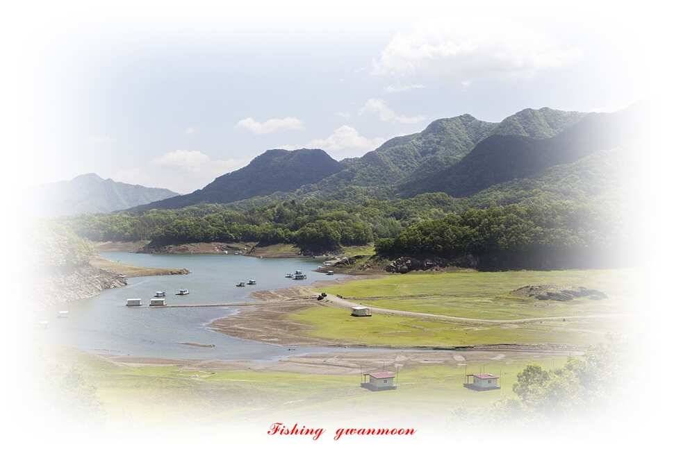 늘푸른화곡지돌감실리곡한버들 조황 (조황조행기 - 특파원조황)