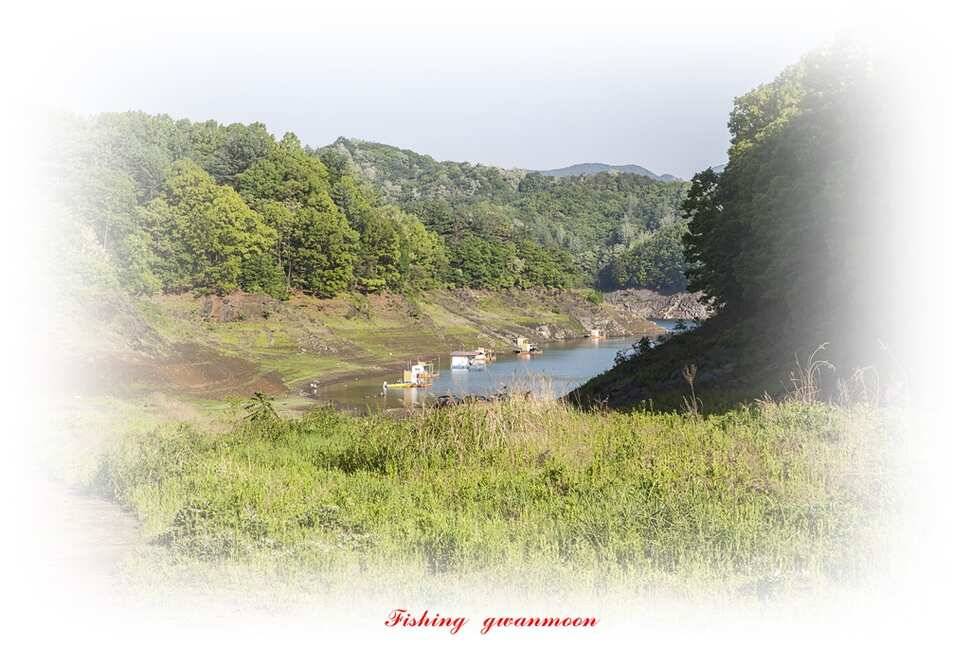 늘푸른화곡지돌감실리곡한버들 조황 (조황조행기 - 특파원조황)