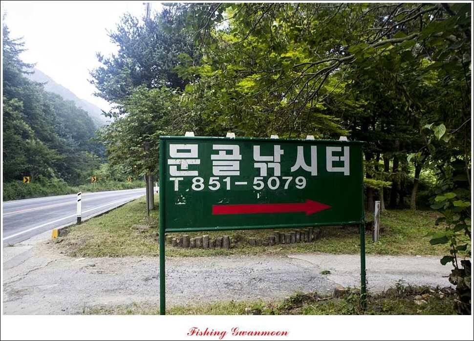문골 키로장어한버들 마릿수실리곡 마릿수 조황 (조황조행기 - 특파원조황)