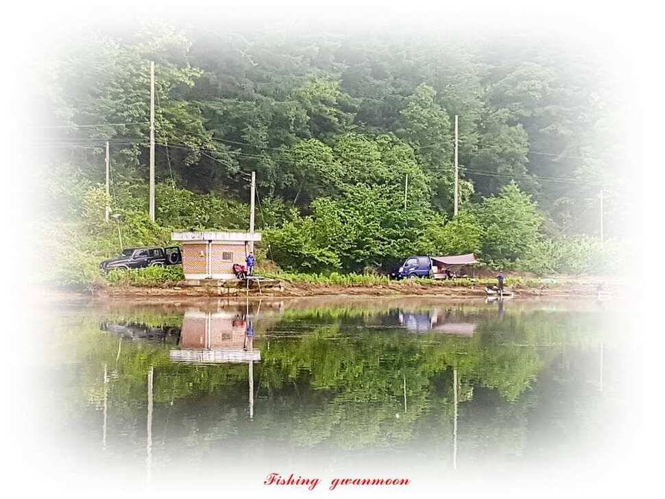 늘푸른화곡지돌감실리곡한버들 조황 (조황조행기 - 특파원조황)