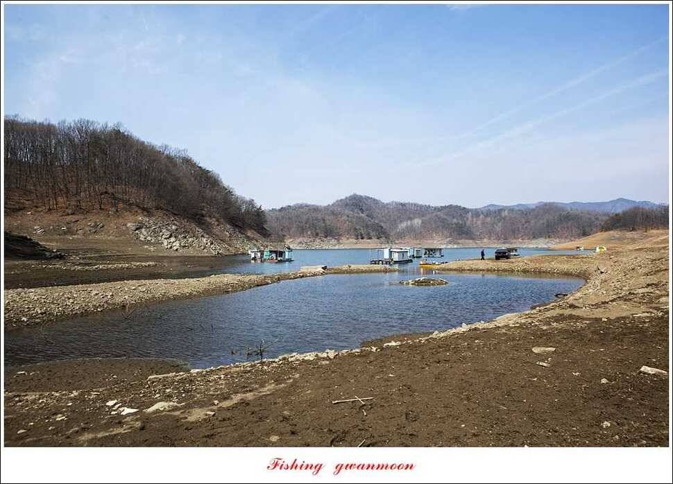 매전지 월척충주호 좌대노지 현황 (조황조행기 - 특파원조황)