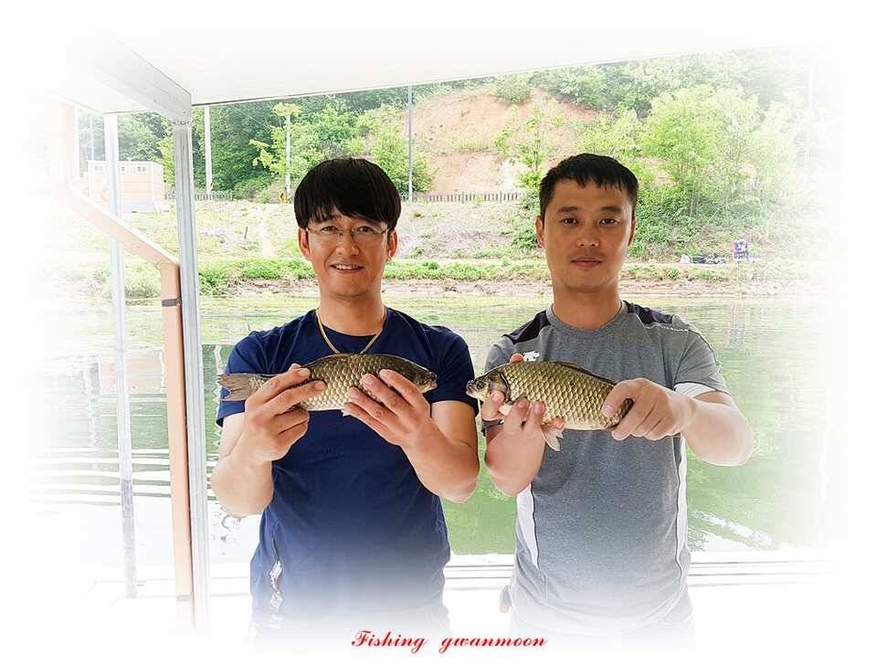 늘푸른화곡지돌감실리곡한버들 조황 (조황조행기 - 특파원조황)