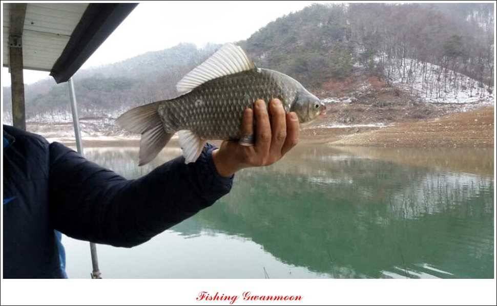 제일 40 cm 실리곡 월척 (조황조행기 - 특파원조황)