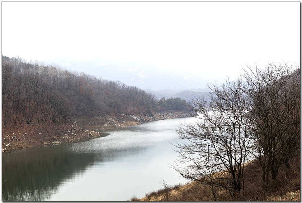 실리곡 사짜 대물 (조황조행기 - 특파원조황)