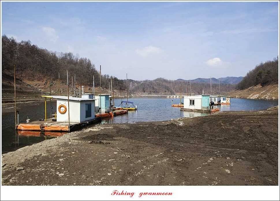 매전지 월척충주호 좌대노지 현황 (조황조행기 - 특파원조황)