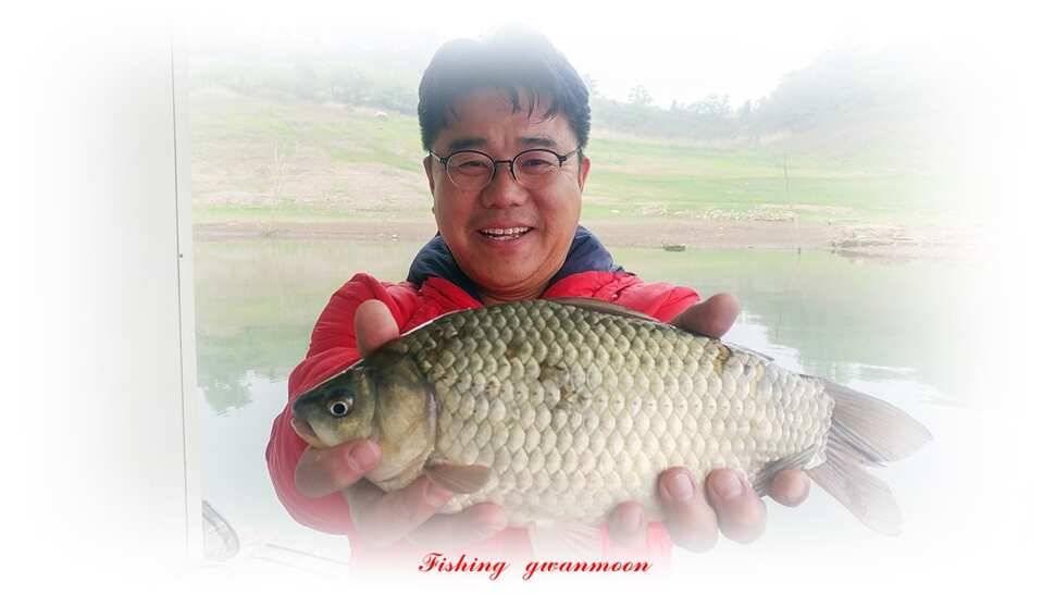 늘푸른화곡지돌감실리곡한버들 조황 (조황조행기 - 특파원조황)