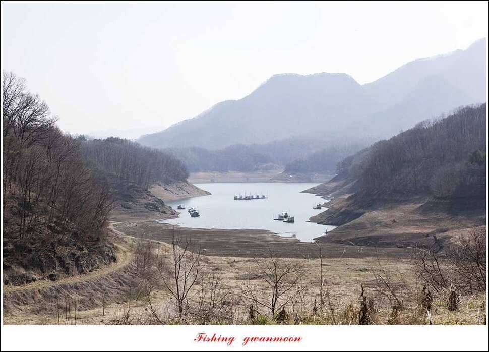 매전지 월척충주호 좌대노지 현황 (조황조행기 - 특파원조황)