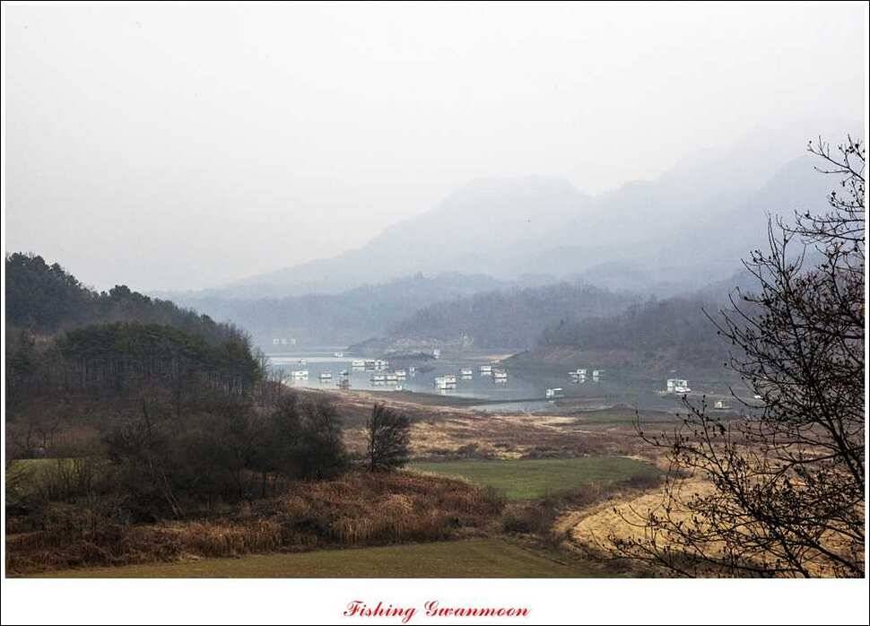 제일 41 cm병호한버들 월척 조황 (조황조행기 - 특파원조황)