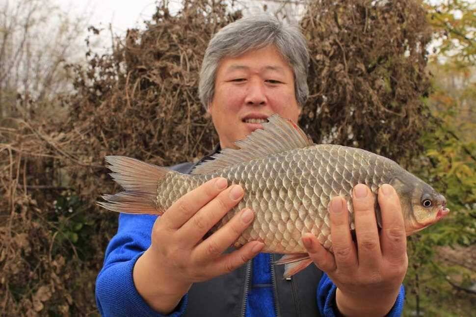 평택호 어제오늘 오전과 백봉수로 현재조황 (조황조행기 - 특파원조황)
