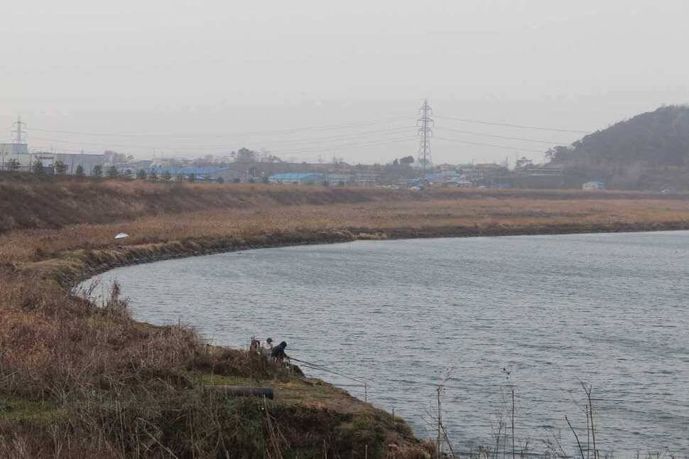 백봉수로 와 평택호 26일29일 조황 (조황조행기 - 특파원조황)