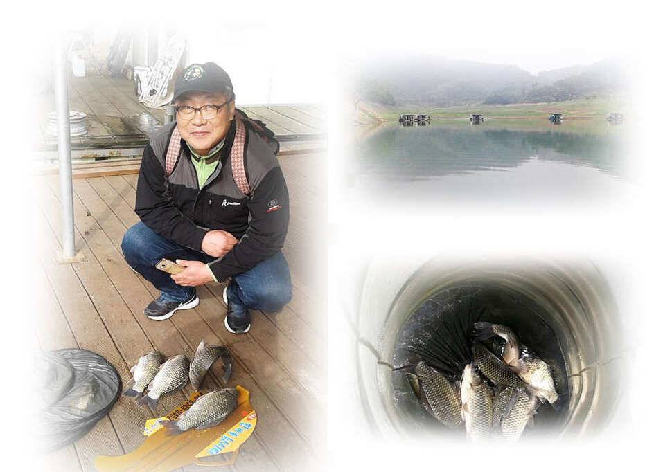 늘푸른화곡지돌감실리곡한버들 조황 (조황조행기 - 특파원조황)