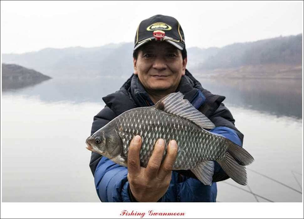 제일 41 cm병호한버들 월척 조황 (조황조행기 - 특파원조황)