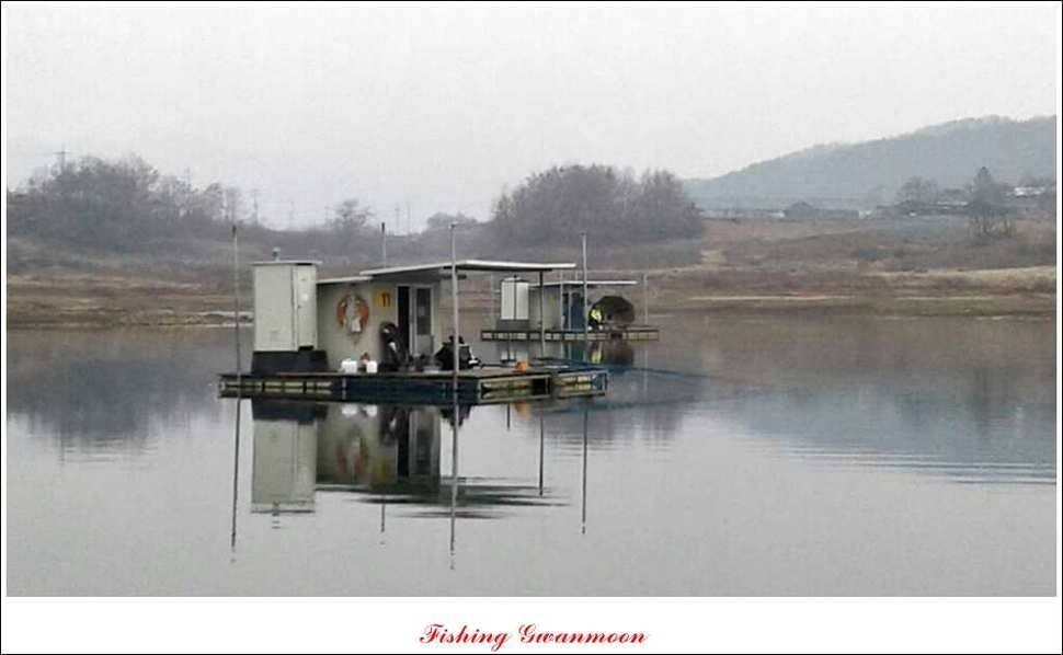 제일 41 cm병호한버들 월척 조황 (조황조행기 - 특파원조황)
