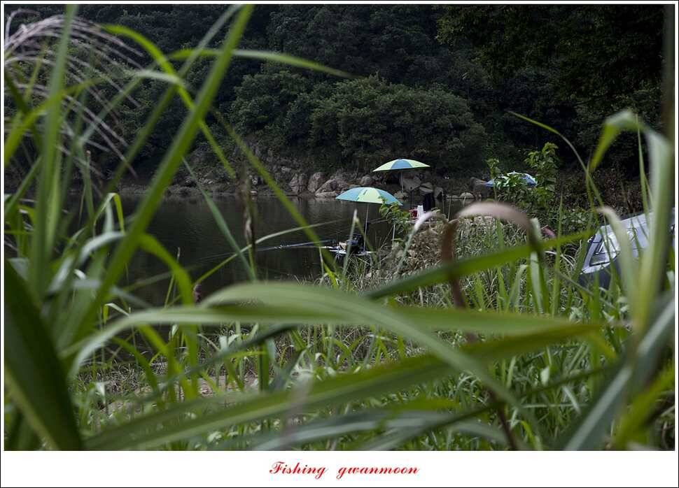 추평지화곡지한버들두무소달천강소류지 조황 (조황조행기 - 특파원조황)