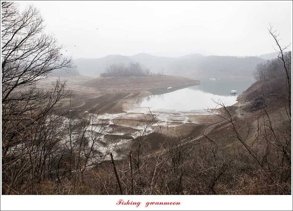 매전지 월척충주호 좌대노지 현황 (조황조행기 - 특파원조황)