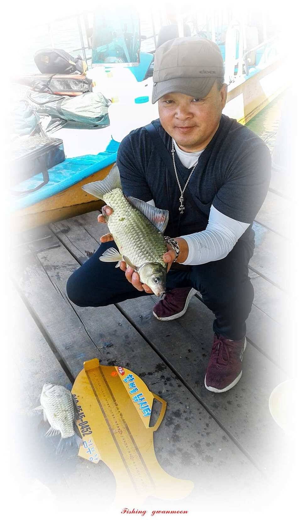 늘푸른화곡지돌감실리곡한버들 조황 (조황조행기 - 특파원조황)
