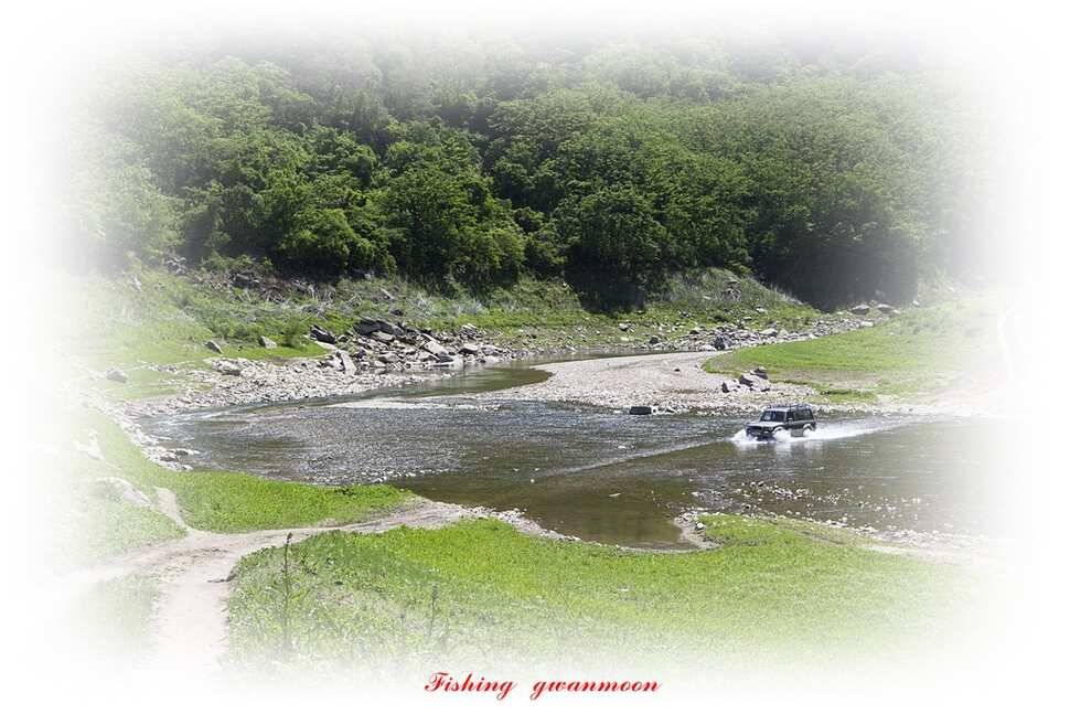 늘푸른화곡지돌감실리곡한버들 조황 (조황조행기 - 특파원조황)