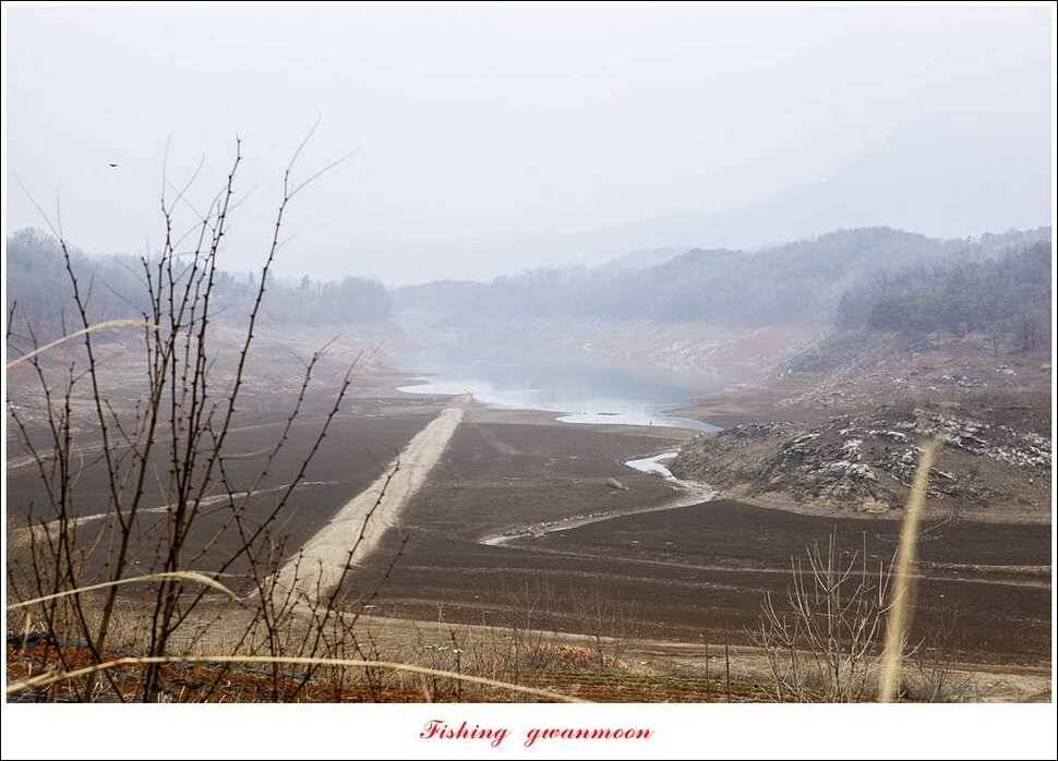 매전지 월척충주호 좌대노지 현황 (조황조행기 - 특파원조황)