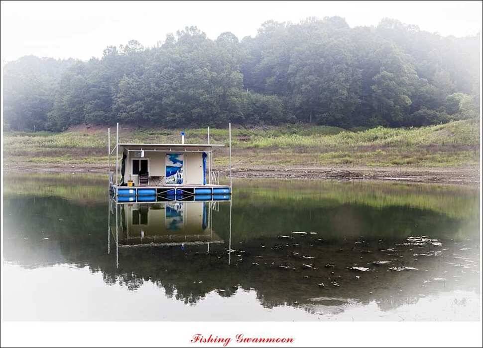 문골 키로장어한버들 마릿수실리곡 마릿수 조황 (조황조행기 - 특파원조황)