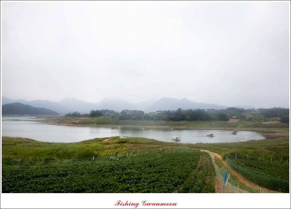 문골 키로장어한버들 마릿수실리곡 마릿수 조황 (조황조행기 - 특파원조황)