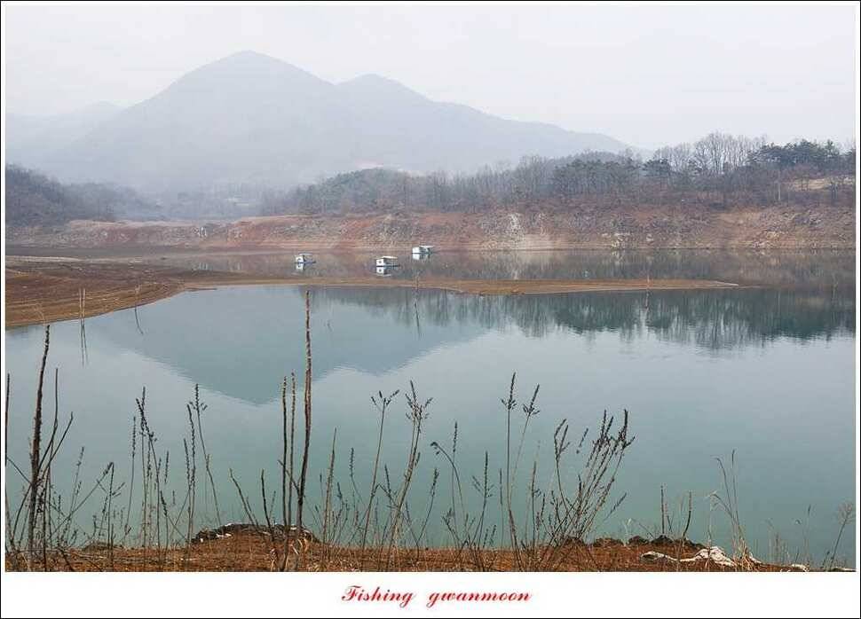 매전지 월척충주호 좌대노지 현황 (조황조행기 - 특파원조황)