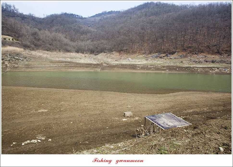 매전지 월척충주호 좌대노지 현황 (조황조행기 - 특파원조황)