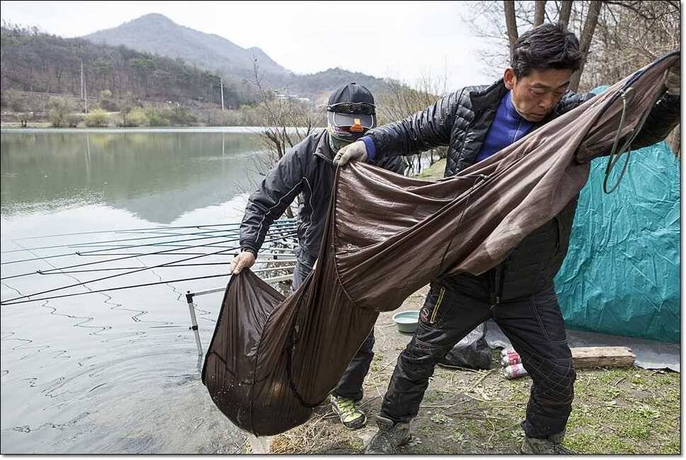 매전지 조황 (조황조행기 - 특파원조황)