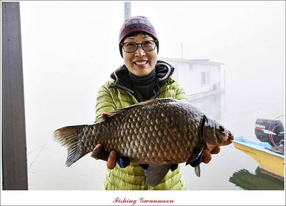제일 41 cm 짱가네 42 cm돌감 실리곡노지 마릿수 월척 (조황조행기 - 특파원조황)