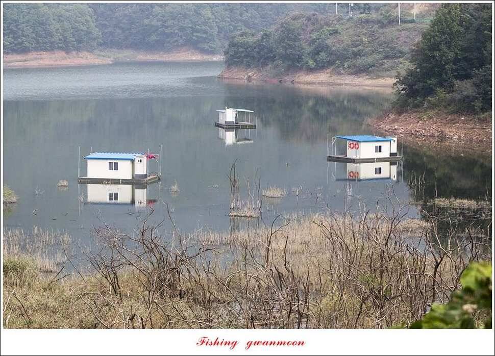 한버들실리곡매전지 조황 (조황조행기 - 특파원조황)
