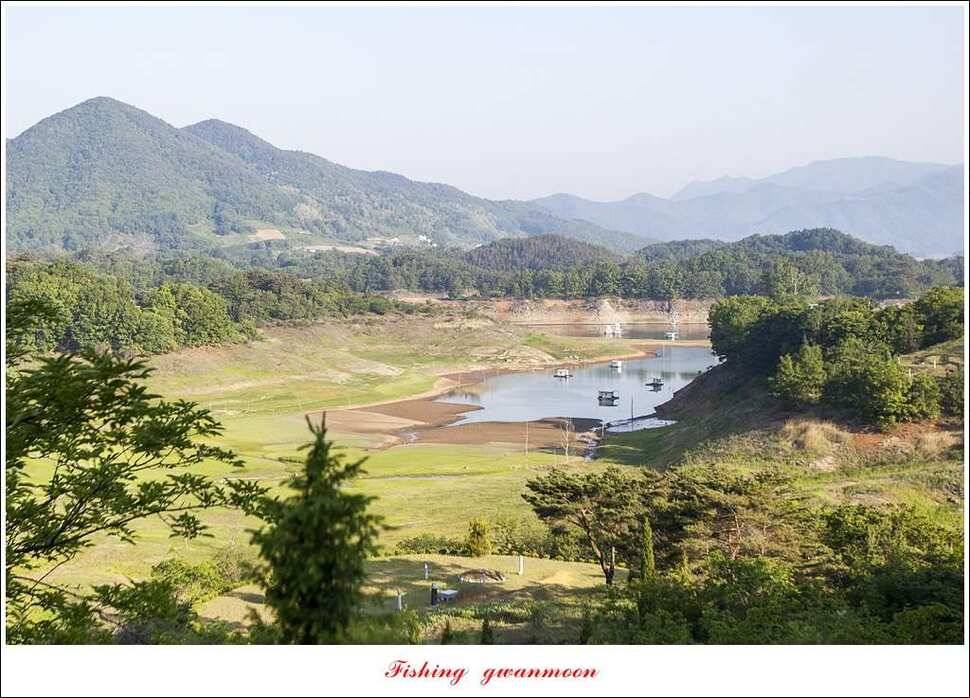 돌감실리곡한버들 월척 조황 (조황조행기 - 특파원조황)