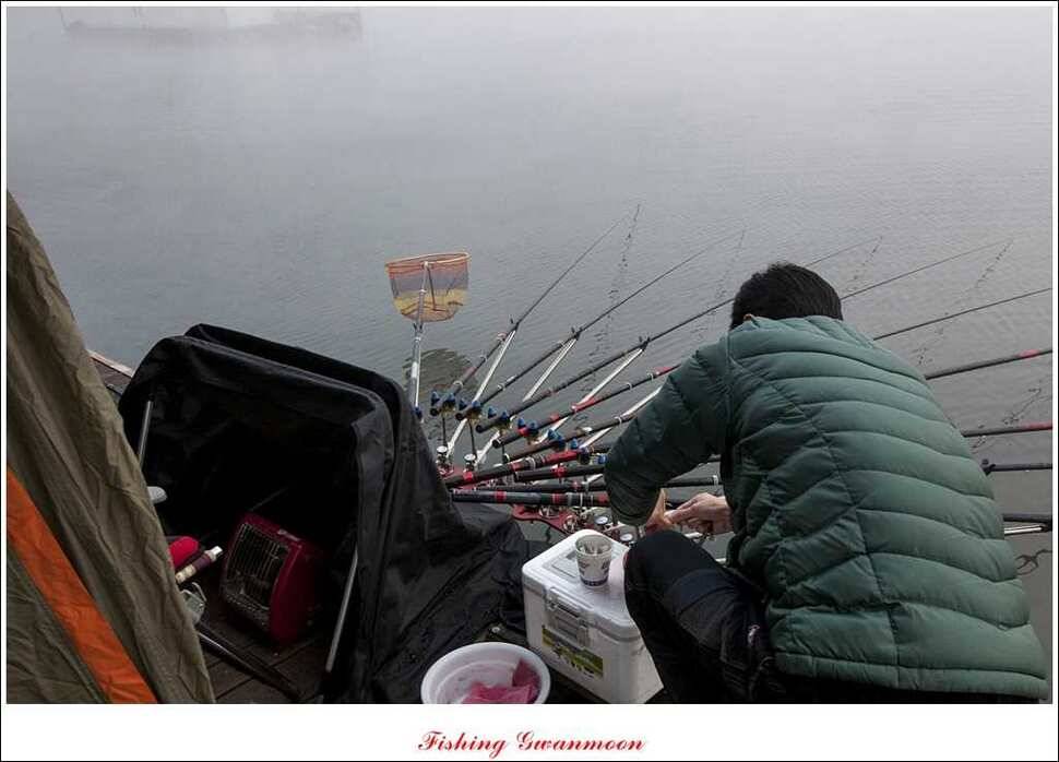 제일 41 cm 짱가네 42 cm돌감 실리곡노지 마릿수 월척 (조황조행기 - 특파원조황)