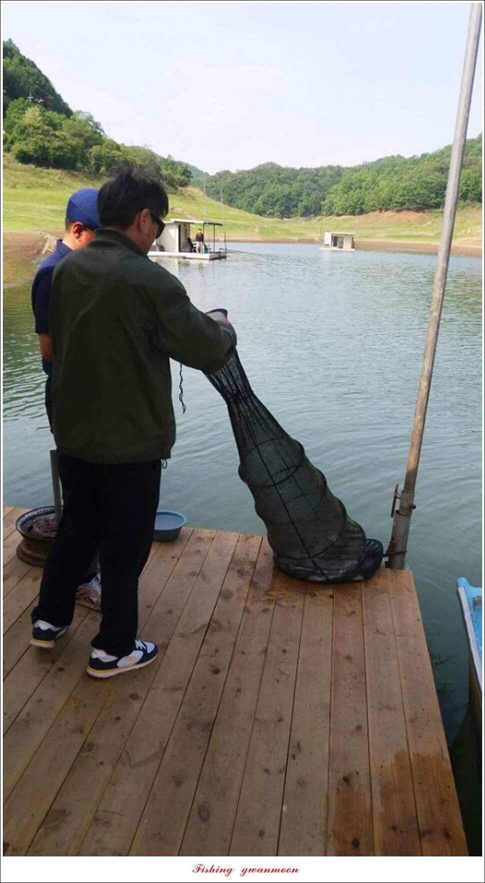 돌감실리곡한버들 월척 조황 (조황조행기 - 특파원조황)