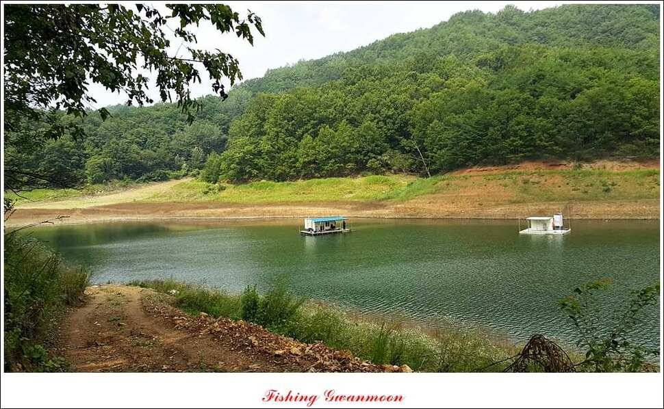 실리곡돌감한버들 조황 (조황조행기 - 특파원조황)