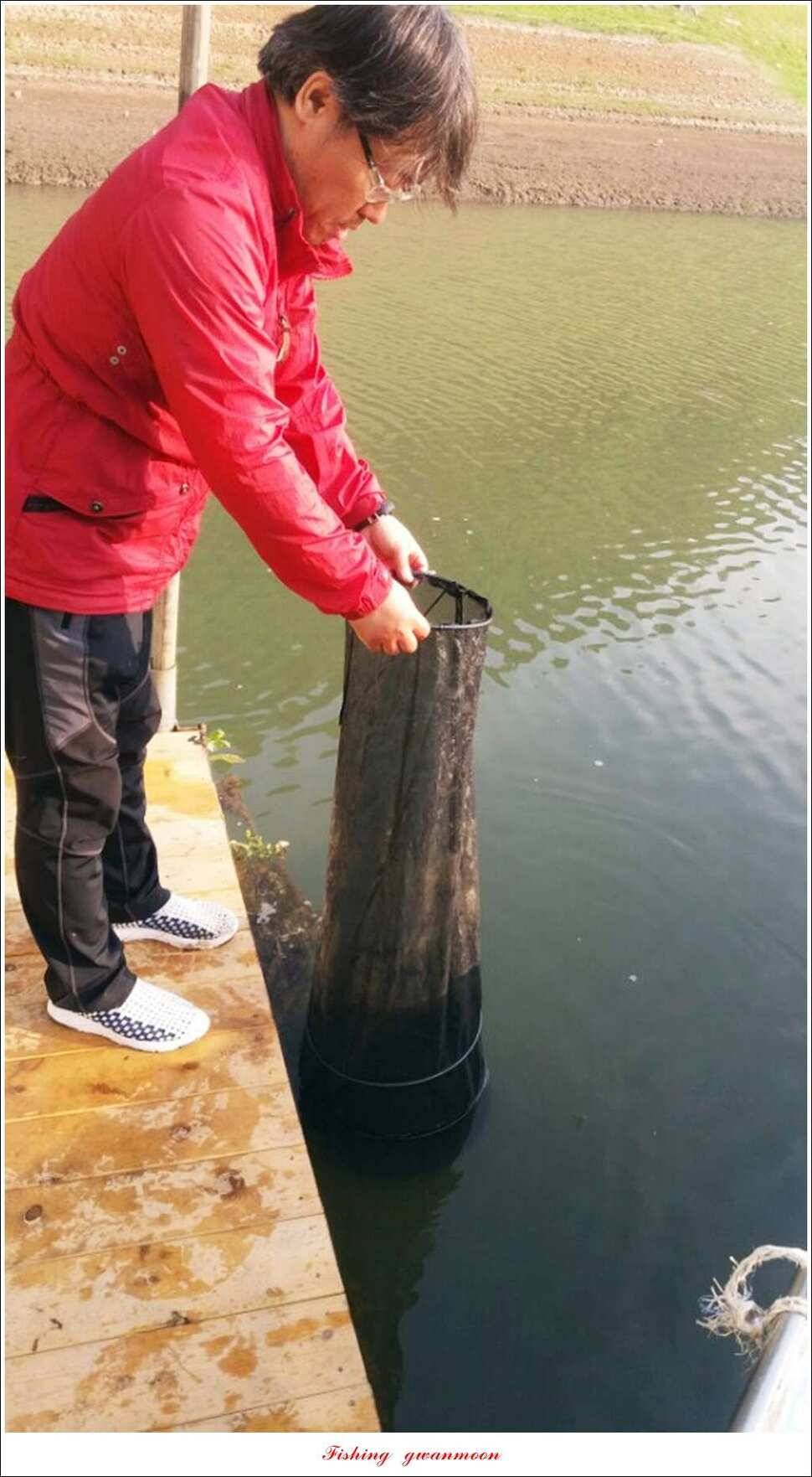 돌감실리곡한버들 월척 조황 (조황조행기 - 특파원조황)