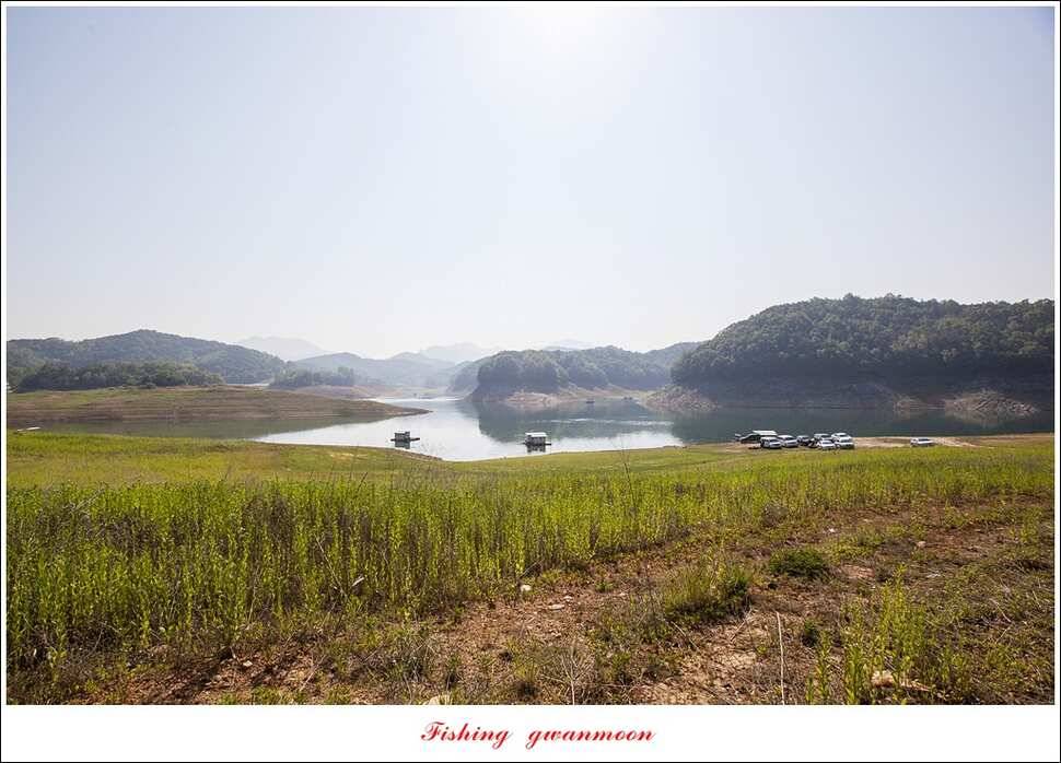 돌감실리곡한버들 월척 조황 (조황조행기 - 특파원조황)