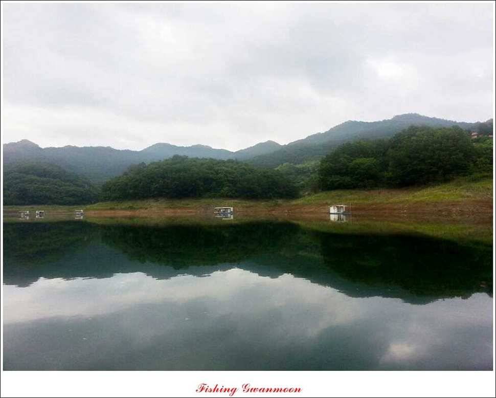 실리곡돌감한버들 조황 (조황조행기 - 특파원조황)
