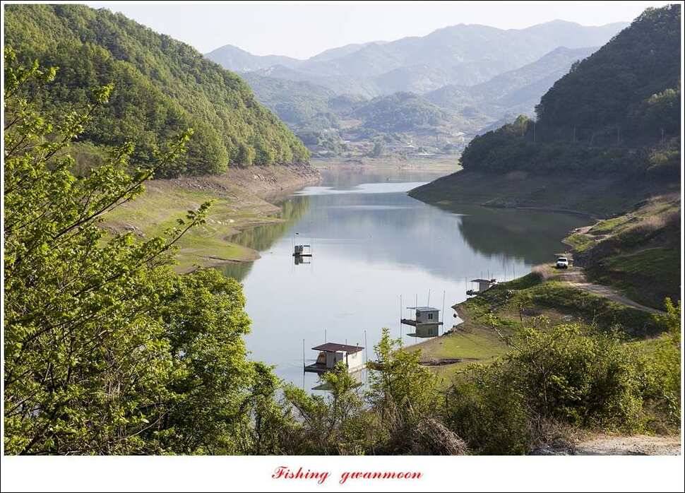 실리곡 마릿수 월척돌감 월척한버들 월척충주호 노지 (조황조행기 - 특파원조황)