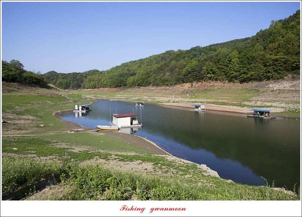 실리곡 마릿수 월척돌감 월척한버들 월척충주호 노지 (조황조행기 - 특파원조황)