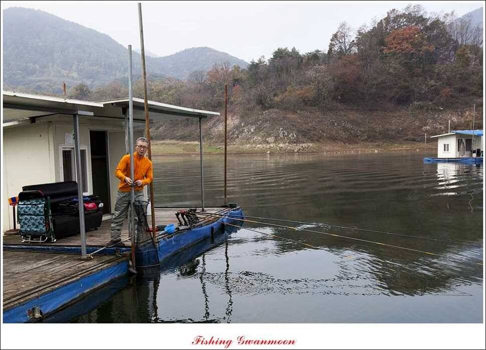 제일 41 cm 짱가네 42 cm돌감 실리곡노지 마릿수 월척 (조황조행기 - 특파원조황)