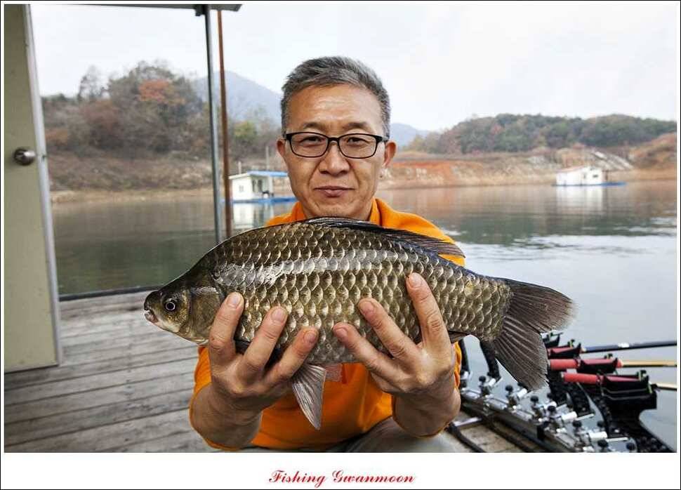 제일 41 cm 짱가네 42 cm돌감 실리곡노지 마릿수 월척 (조황조행기 - 특파원조황)