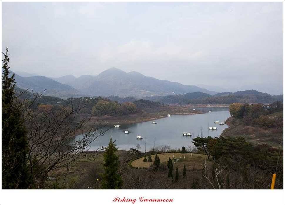 제일 41 cm 짱가네 42 cm돌감 실리곡노지 마릿수 월척 (조황조행기 - 특파원조황)