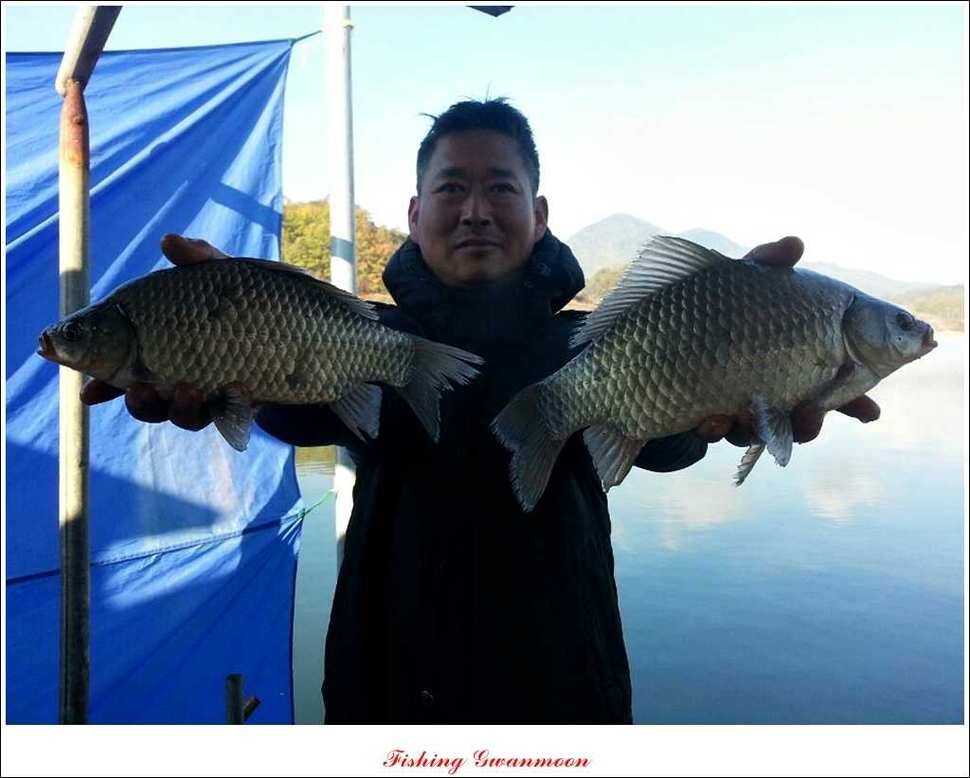 제일 41 cm 짱가네 42 cm돌감 실리곡노지 마릿수 월척 (조황조행기 - 특파원조황)