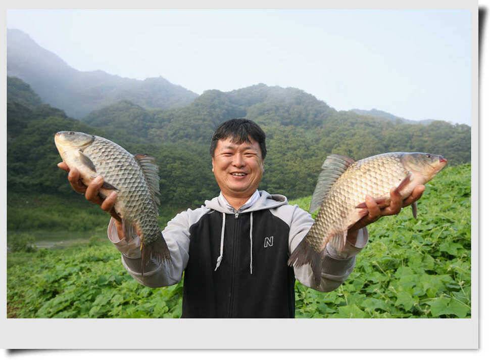 명서 4짜 쌍권총 (조황조행기 - 특파원조황)