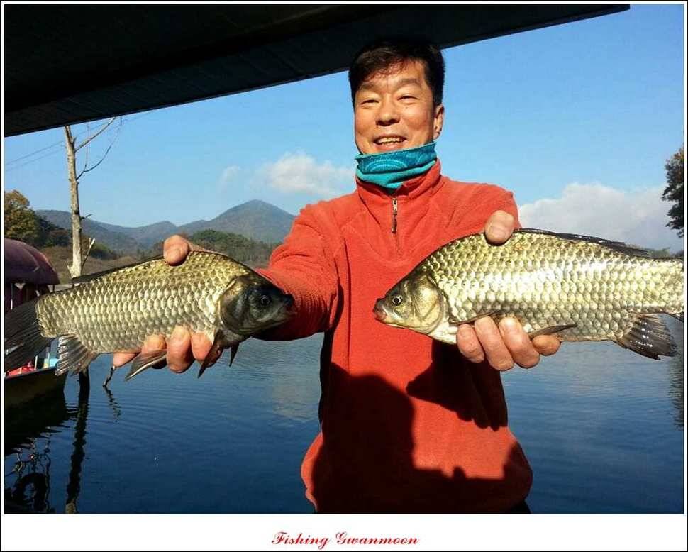 제일 41 cm 짱가네 42 cm돌감 실리곡노지 마릿수 월척 (조황조행기 - 특파원조황)