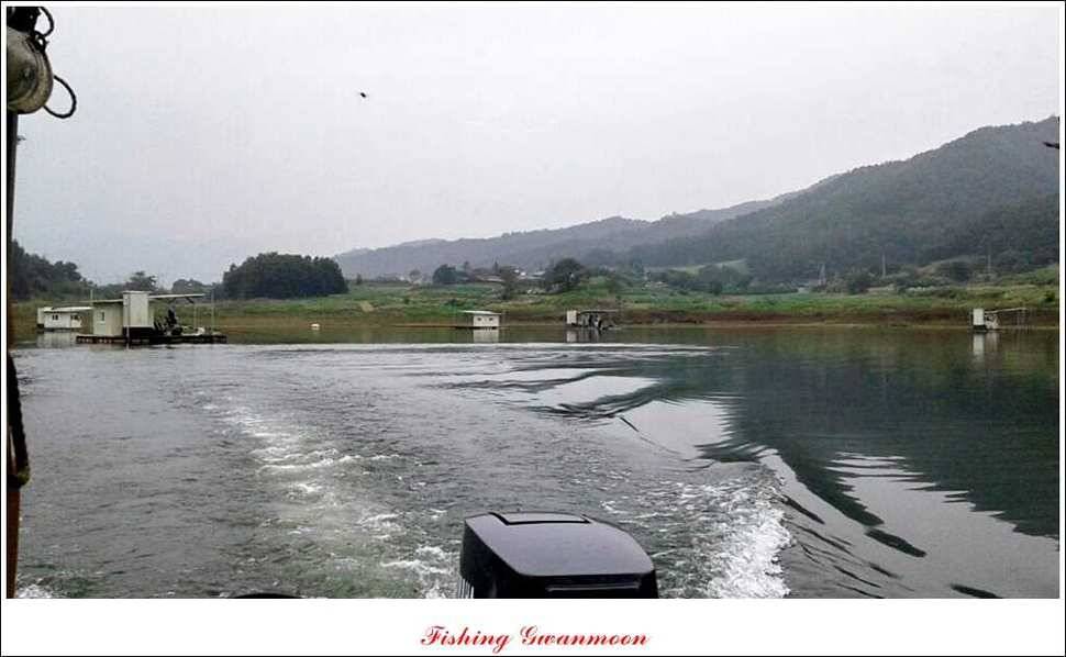 실리곡돌감한버들 조황 (조황조행기 - 특파원조황)