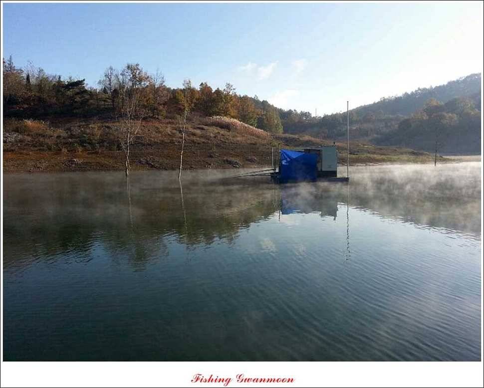 제일 41 cm 짱가네 42 cm돌감 실리곡노지 마릿수 월척 (조황조행기 - 특파원조황)