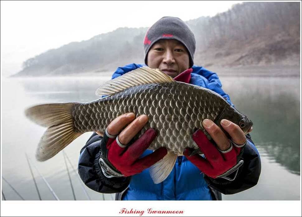 신매 41 cm40 cm 제일 짱가네한버들 월척 (조황조행기 - 특파원조황)