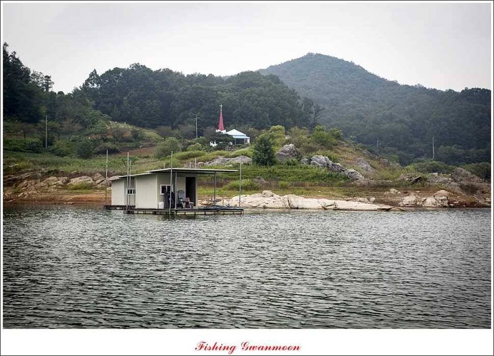 문골 키로장어한버들 마릿수실리곡 마릿수 조황 (조황조행기 - 특파원조황)